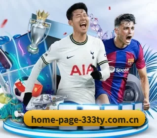 home-page-333ty.com.cn APP